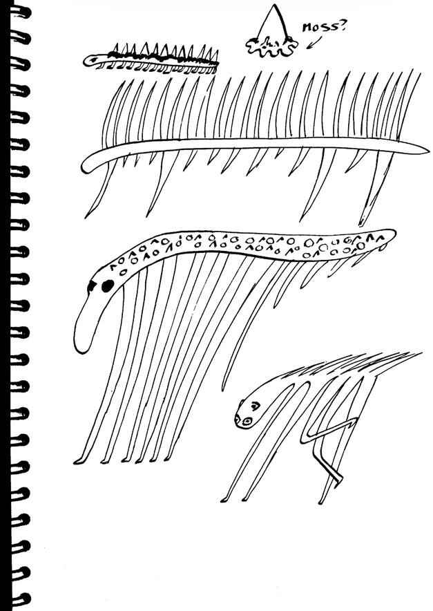 Untitled Untitled